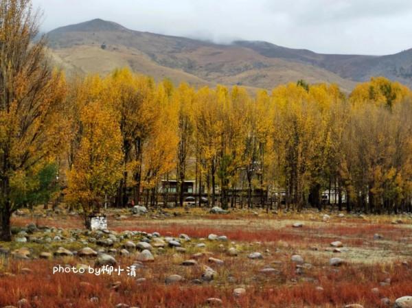 金秋的川西遇見最美的稻城亞丁(Day 5):匆匆,太匆匆 金秋的川西遇見最美的稻城亞丁(Day 5):匆匆,太匆匆
