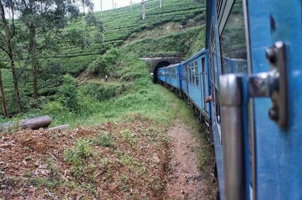 斯里蘭卡--回味無窮的青橄欖