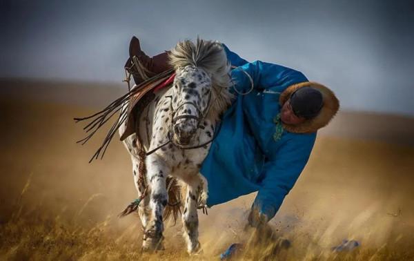 大美內蒙古，靚麗正北方