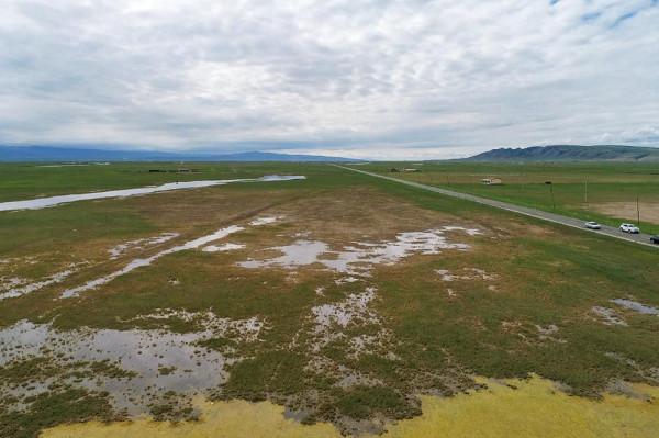 標緻4008環青海長測Day9：鳥島叫“蚊子島”，沿青海沿線達剛察！