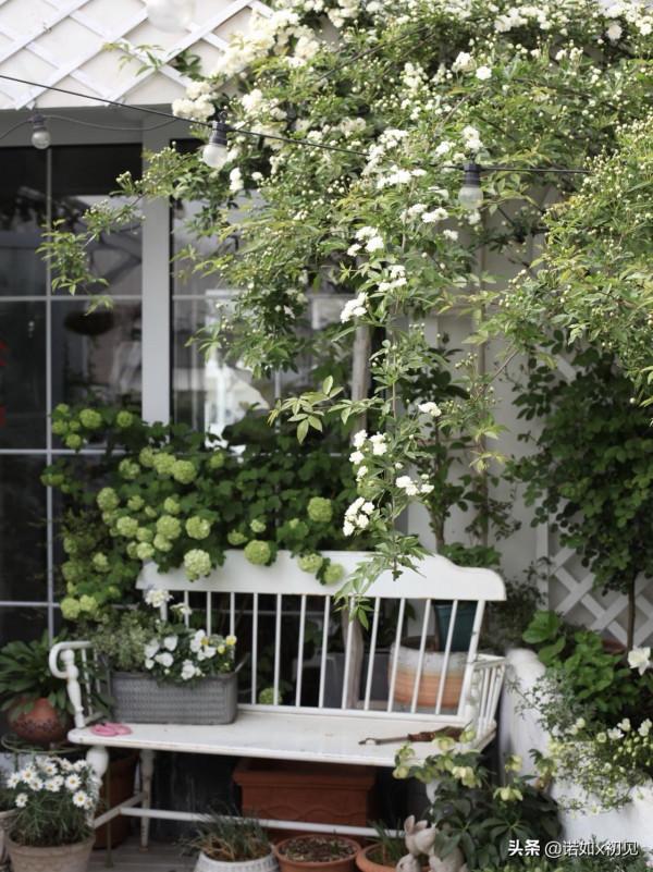 我的露臺花園標誌性的白色長椅