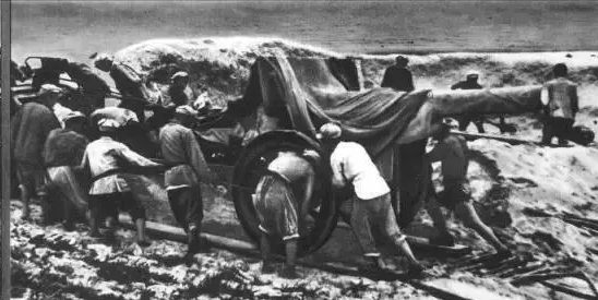 符振中說普通話和廣東話都很費力，葉劍英：用海南話吧，我翻譯