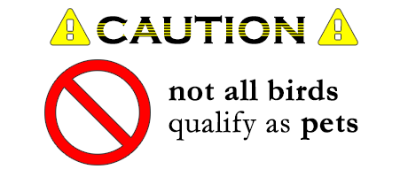 【動植物檢疫】寵物入境美國指南