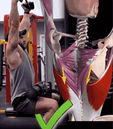 “收緊肩胛骨”為何在健身訓練中如此重要? “收緊肩胛骨”為何在健身訓練中如此重要?