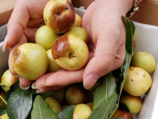 天冷後，營養師建議你：多吃4種富含維生素C的水果，增強免疫力