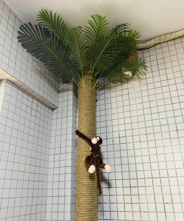 五個裝修“遮醜”小技巧，簡單易操作，讓你的新家不留遺憾