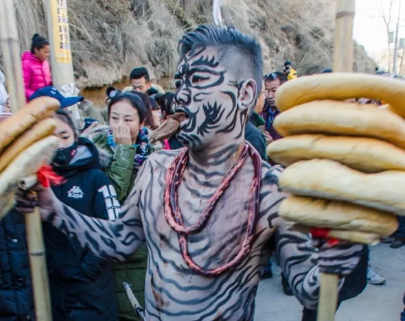 青海曾經有虎？