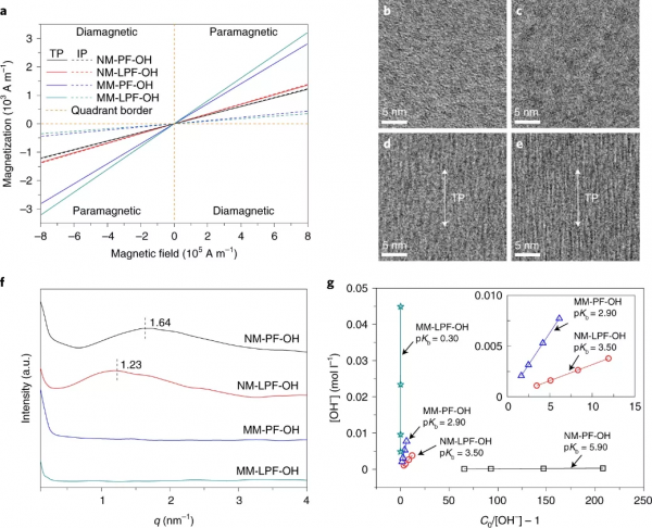 天大尹燕/Guiver Nature Energy：磁場誘導陰離子膜，助力燃料電池