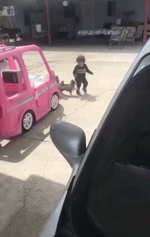 又心疼又好笑！德牧出任務追犯人，卻意外遭豪豬攻擊身中200刺