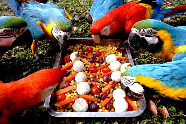 &OpenCurlyDoubleQuote;大快朵頤&rdquo;過大年