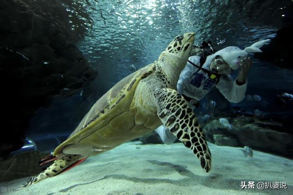 這些20個，關於北京的秘密和冷知識，只有1%的老北京人知道