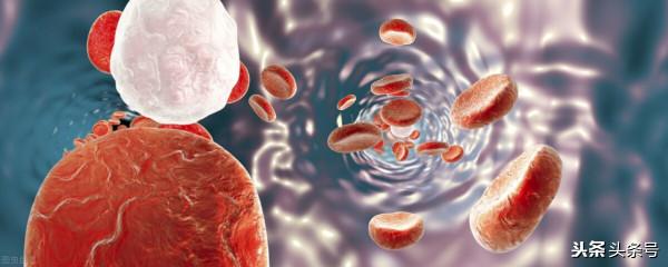 漲知識！十一個有趣的生活科學事實