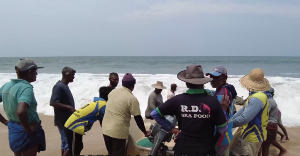 絕戶網的威力有多大？斯里蘭卡漁民用拖拉機捕魚，抓的魚還不夠分