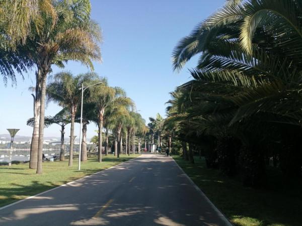 昆明到西雙版納鐵路沿線11站點旅行合集 昆明到西雙版納鐵路沿線11站點旅行合集