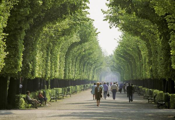 老齡化越發明顯,養老房地位水漲船高,這三類房子或具有升值空間 老齡化越發明顯,養老房地位水漲船高,這三類房子或具有升值空間