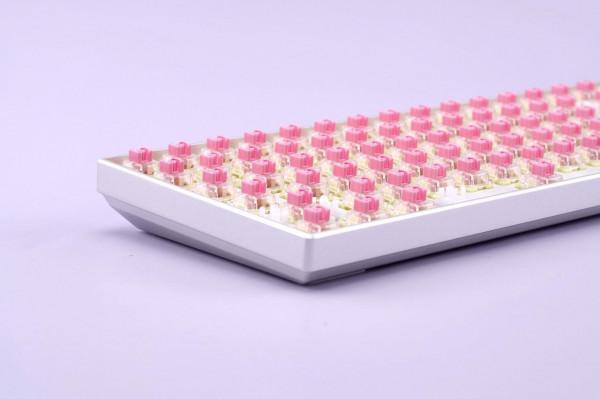 質感手感兼顧，TTC金粉軸 &amp; 珂芝 100PRO 簡評