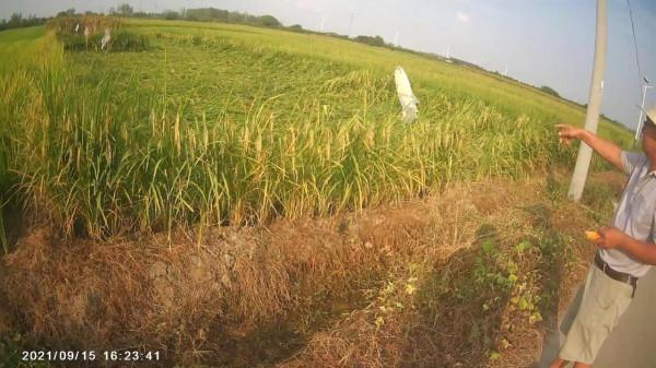 摩托周邊旮旯遊——尋朱元璋出家之於皇寺 摩托周邊旮旯遊——尋朱元璋出家之於皇寺