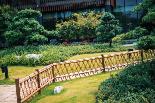 這是我在成都的新歡,推薦給你呀 這是我在成都的新歡,推薦給你呀