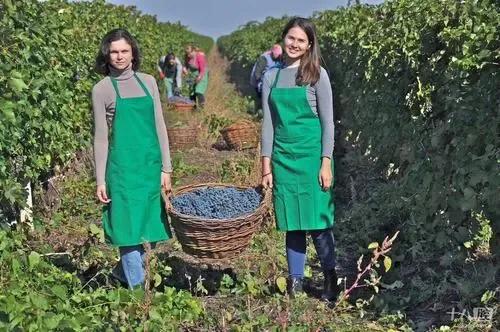 歐洲最窮國“摩爾多瓦”現狀,帶你看看真實的摩爾多瓦 歐洲最窮國“摩爾多瓦”現狀,帶你看看真實的摩爾多瓦