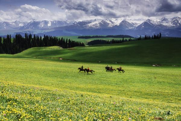 新疆必去的六大景點（北疆）