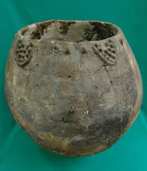 別卡速:葡萄酒瓶為什麼會有綠色、棕色等的顏色呢「紅酒知識18」 別卡速:葡萄酒瓶為什麼會有綠色、棕色等的顏色呢「紅酒知識18」