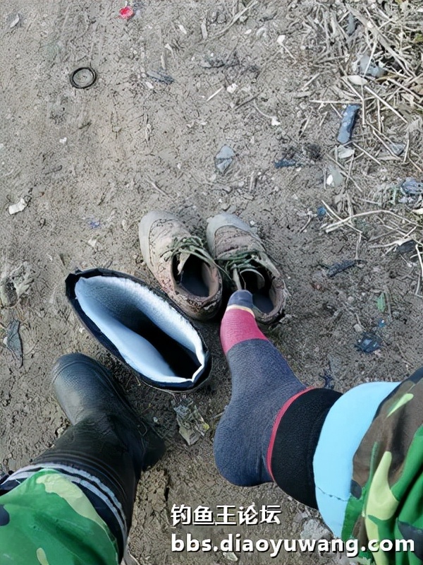 寒潮風雨襲膠河，大板鯽魚護中來
