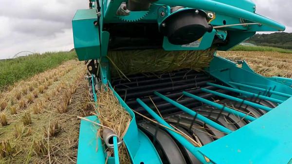 日本每年有100萬噸稻草的需求，我們卻把稻草燒掉，為什麼呢？