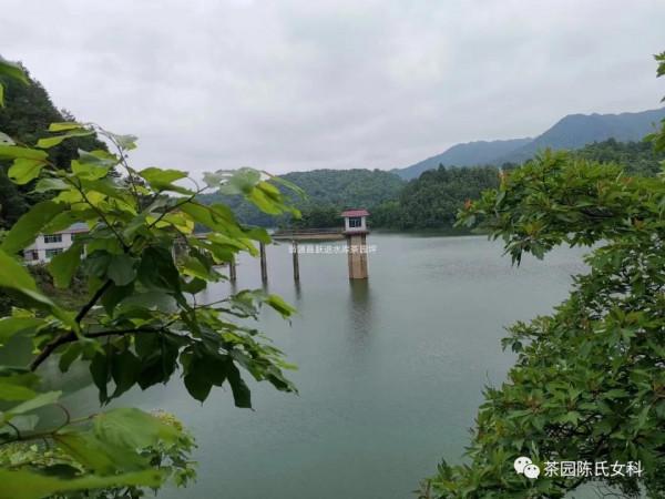 容易過敏人群飲食禁忌