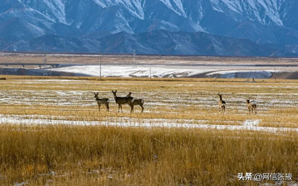 山丹馬場冬日景色美