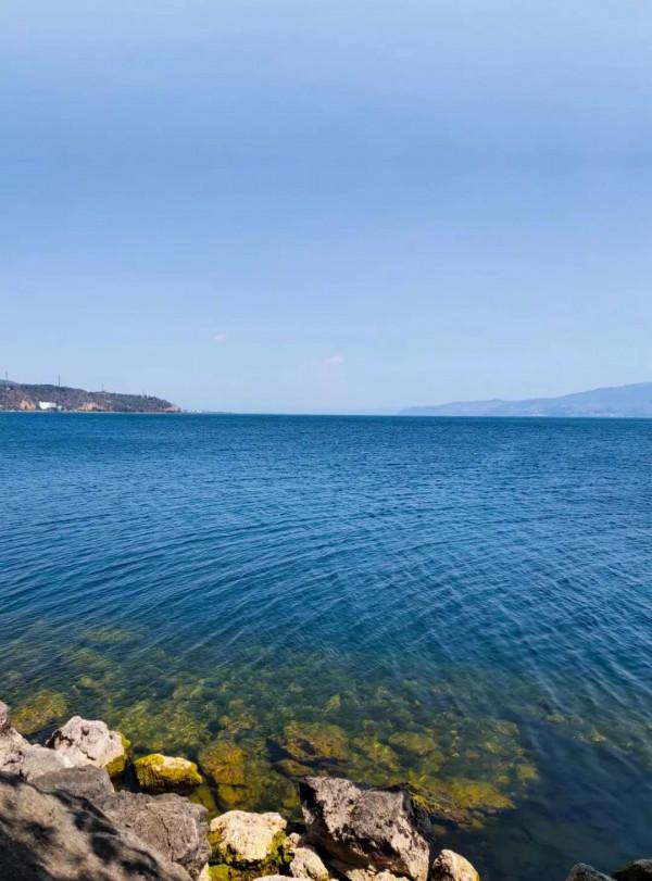 “藕”遇海鷗 “藕”遇海鷗