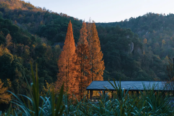 這家酒店的紅葉季，讓我想起了虹夕諾雅京都