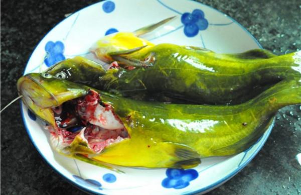 團圓佳節少不了這幾道家宴菜！做法簡單又美味，帶你找回家的味道