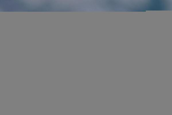 東江攬勝:收集常見鳥類圖譜之陸禽篇,攝鳥人自留地,建議收藏 東江攬勝:收集常見鳥類圖譜之陸禽篇,攝鳥人自留地,建議收藏