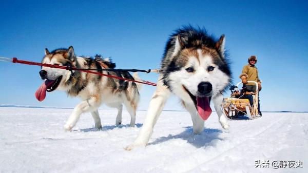 仁義不成買賣在?努力100多年,阿拉斯加能擺脫美國遠走高飛嗎? 仁義不成買賣在?努力100多年,阿拉斯加能擺脫美國遠走高飛嗎?