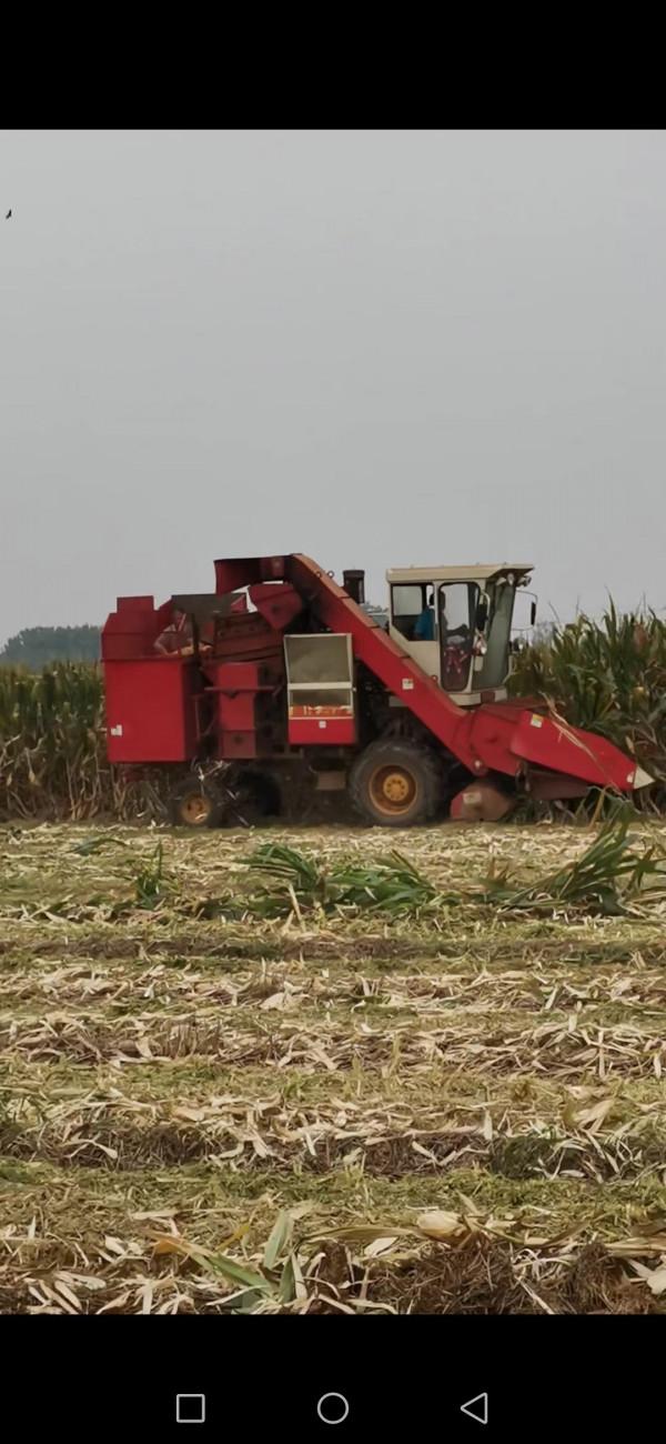 秋分節氣豐收節 秋分節氣豐收節