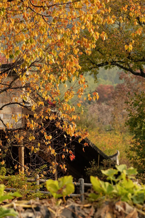 12月必去的7個古鎮,每一個都美到不想離開,閒了就去小住幾日吧 12月必去的7個古鎮,每一個都美到不想離開,閒了就去小住幾日吧