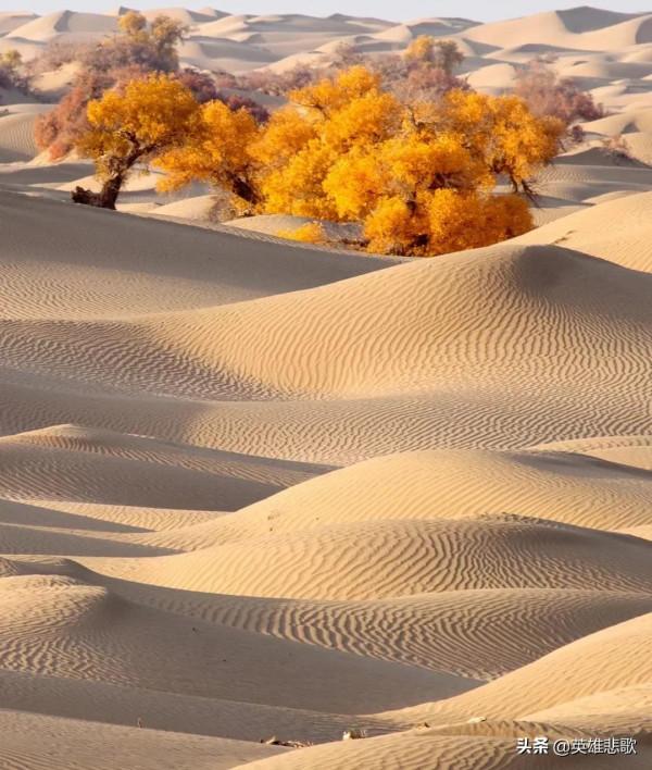 沙子如此緊俏，價格連年瘋漲，為何不去沙漠中運輸或到黃河裡採？