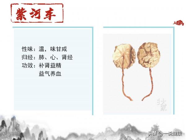 養生中藥精選 養生中藥精選