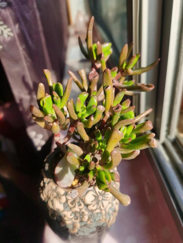 離家三個多月,肉肉還好嗎? 離家三個多月,肉肉還好嗎?