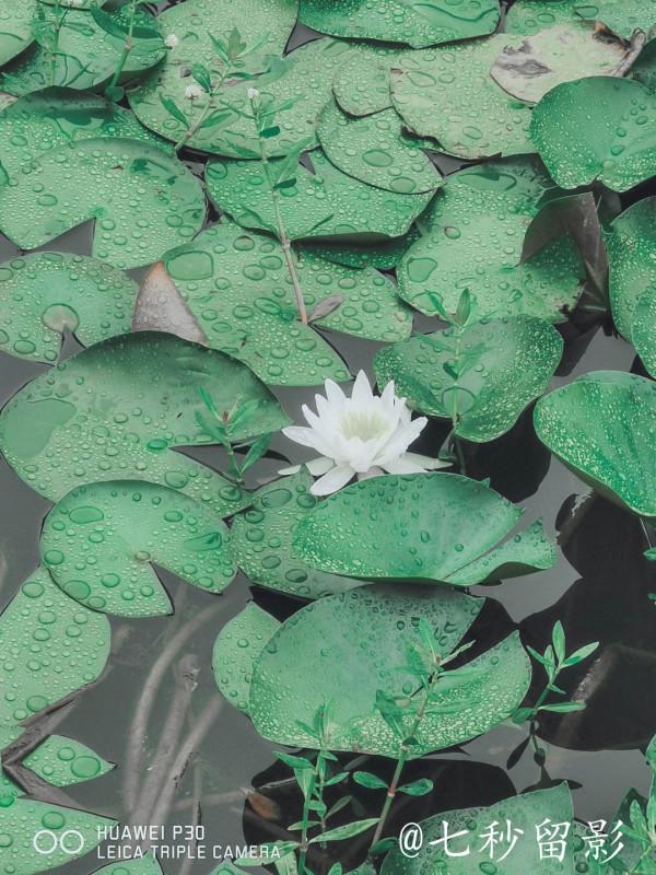 國家5A景區古隆中 國家5A景區古隆中