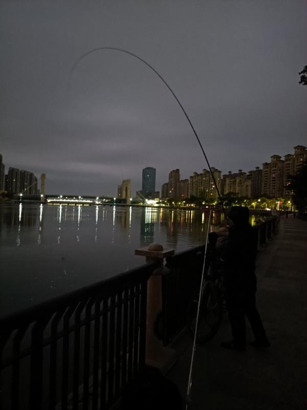 早起的鳥兒有蟲吃，晨釣提竿遛大魚&hellip;&hellip;