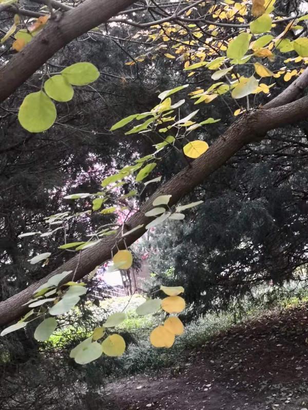 兩 岸 (詩歌外九首)北京 張新貴 兩 岸 (詩歌外九首)北京 張新貴