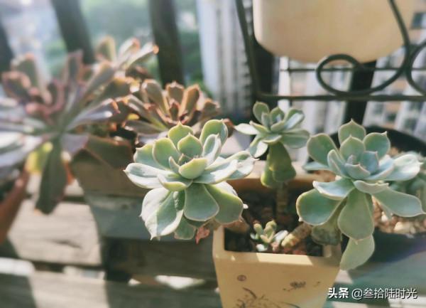 生活日記:中秋佳節,收到了節日“驚喜”—上班 生活日記:中秋佳節,收到了節日“驚喜”—上班