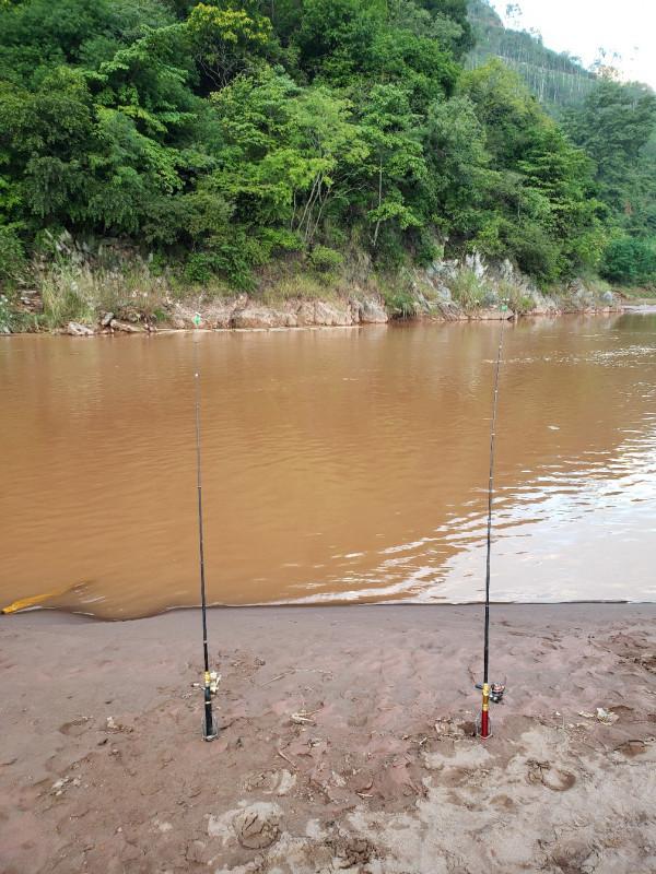 週六跑魚周天來河到灘邊繼續作釣,驚喜就在瞬間出現了…… 週六跑魚周天來河到灘邊繼續作釣,驚喜就在瞬間出現了……