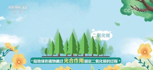 「共赴春城之約」科普 | 碳匯：用生態手段減少溫室氣體濃度