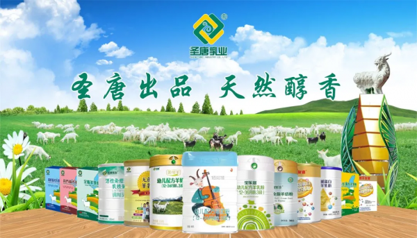 為了“奶粉安全”，聖唐乳業竟然這麼拼