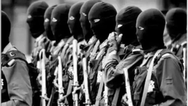 那個臥底百次的緝毒警察，被報復了