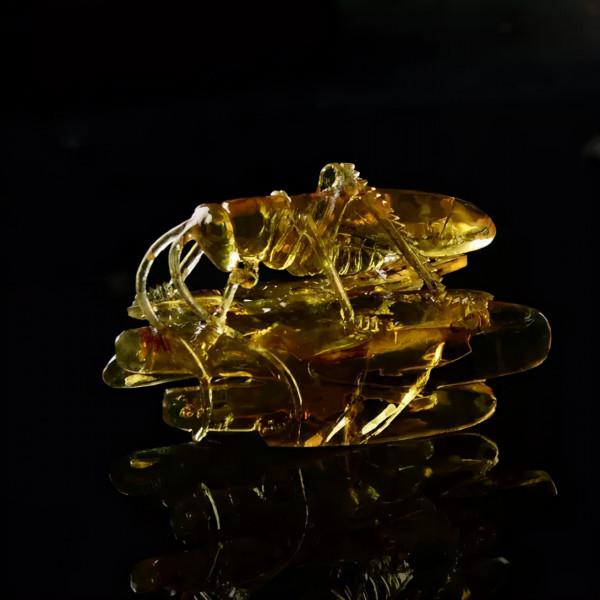 千年琥珀，驚豔了時光