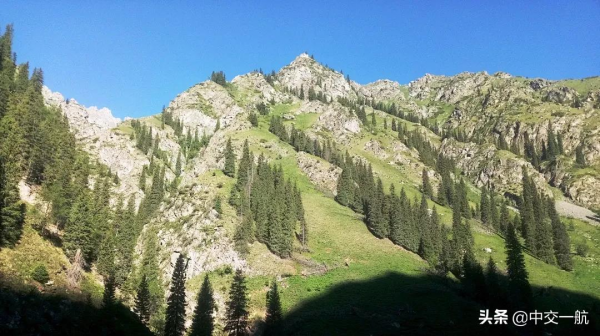 #美麗中國，大美新疆# 大片來襲！新疆烏尉高速一路好風光