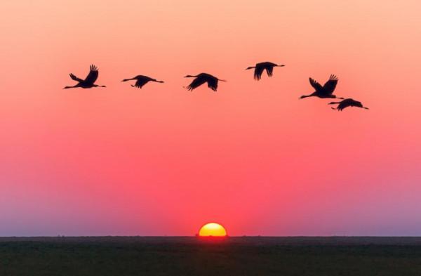 秋天裡最美的詩詞，10首以秋為題的詩詞，能猜到哪些詩詞進榜嗎？